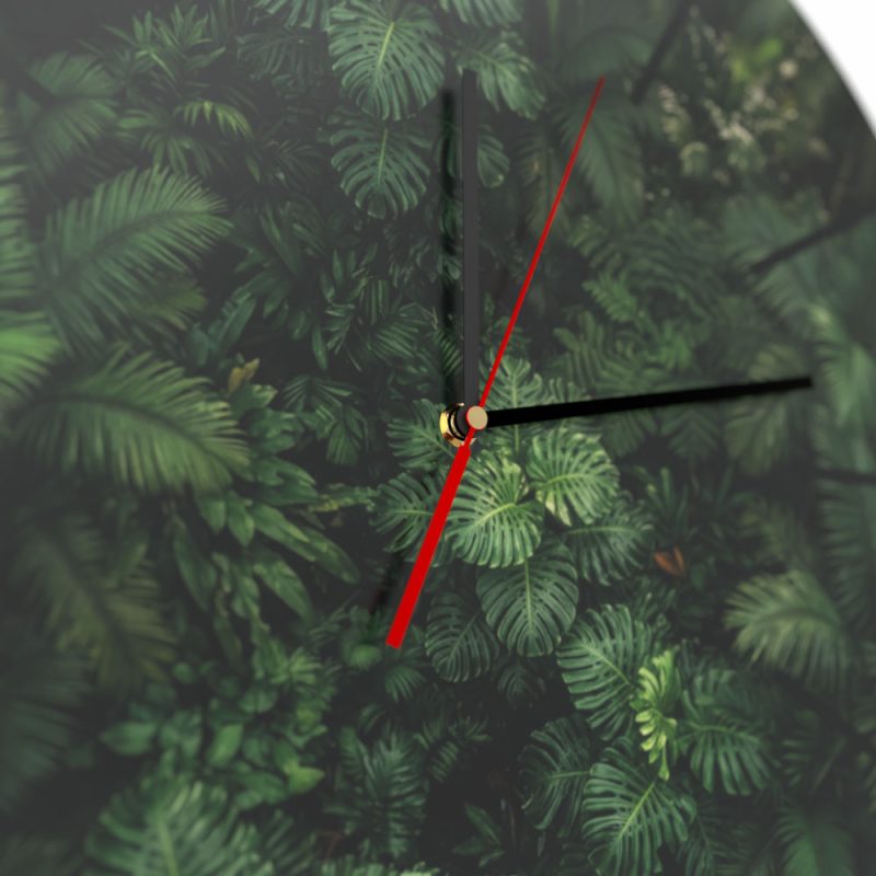 monstera-detal
